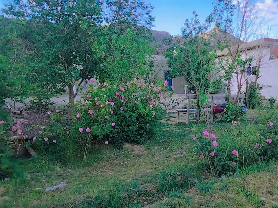 Gite Dayet Chiker Taza Bagian luar foto